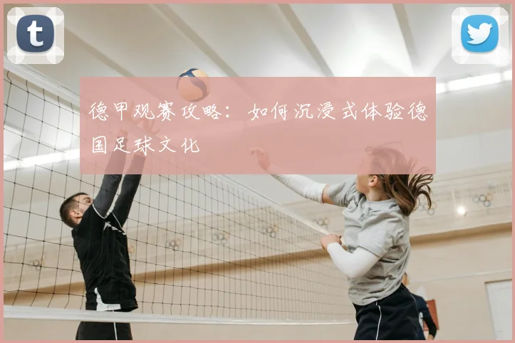 德甲观赛攻略:如何沉浸式体验德国足球文化