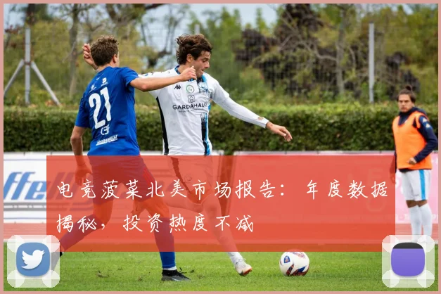 电竞菠菜北美市场报告:年度数据揭秘,投资热度不减