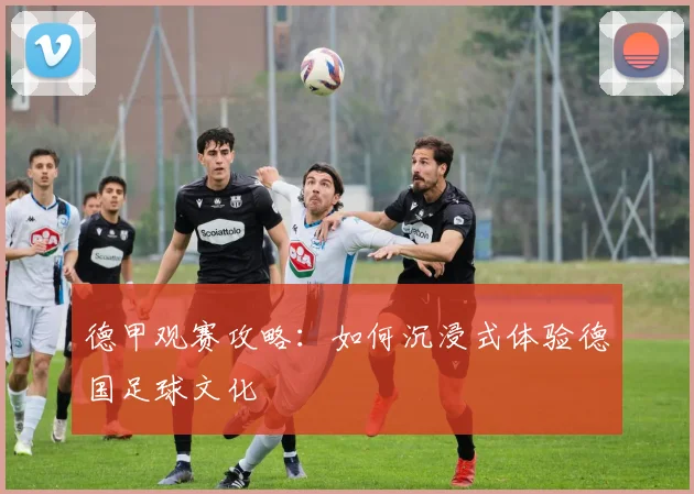 德甲观赛攻略:如何沉浸式体验德国足球文化