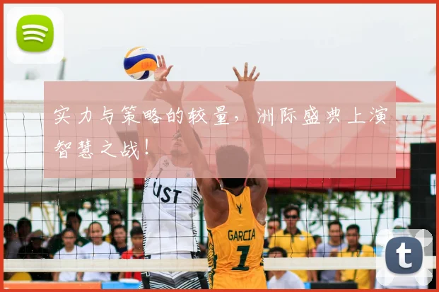 实力与策略的较量,洲际盛典上演智慧之战!